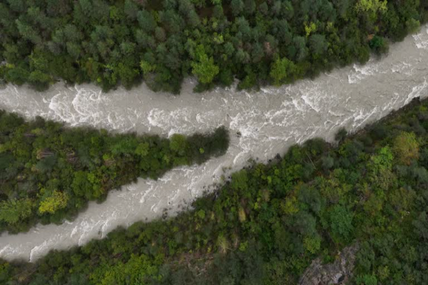 Bank carve-out under M&A timelines